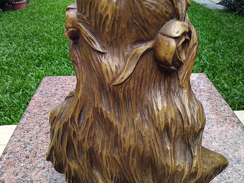 Carved Wooden Bust